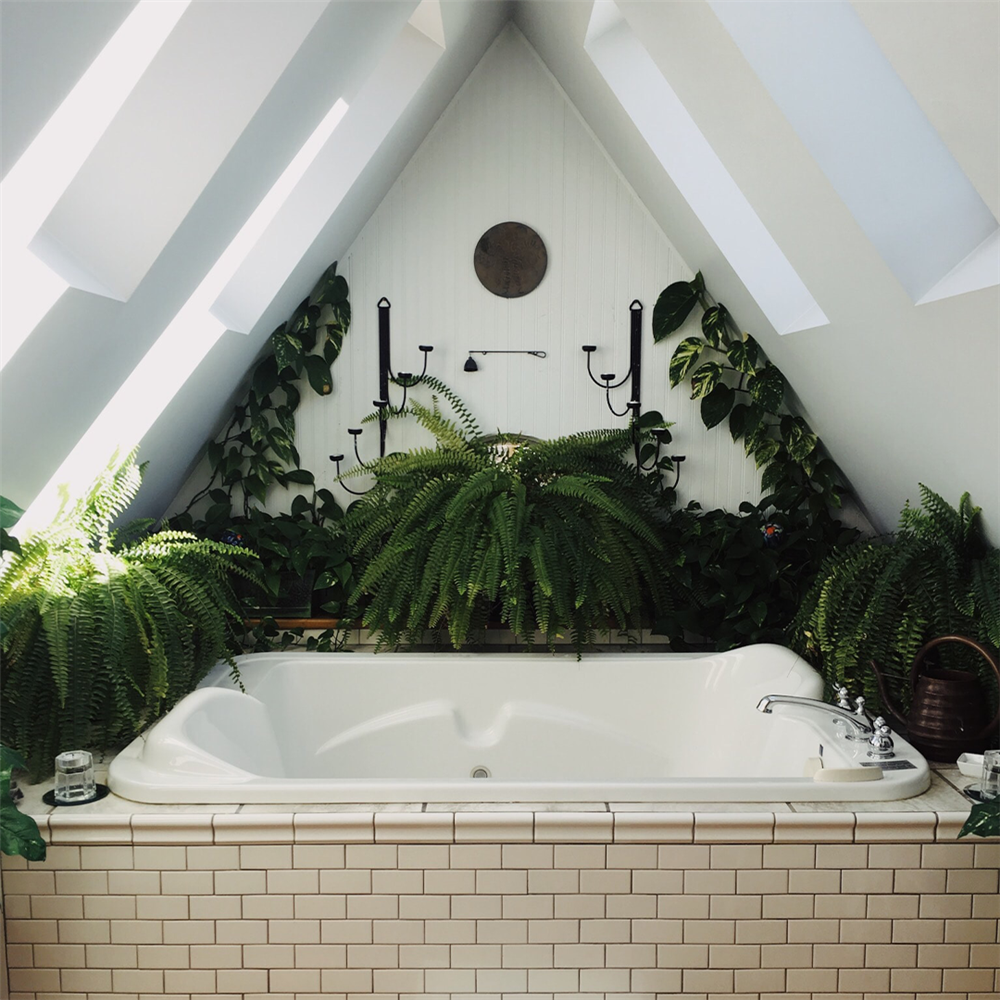 Greenery gives a pop of colour in a small bathroom